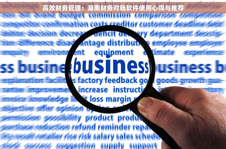 高效财务管理：湖南财务对账软件使用心得与推荐