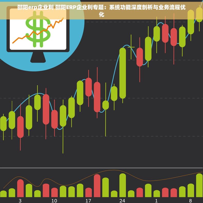 邵阳erp企业利 邵阳ERP企业利专题：系统功能深度剖析与业务流程优化