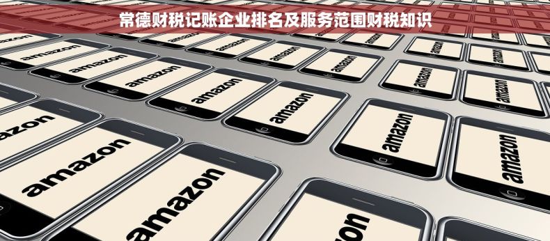 常德财税记账企业排名及服务范围财税知识