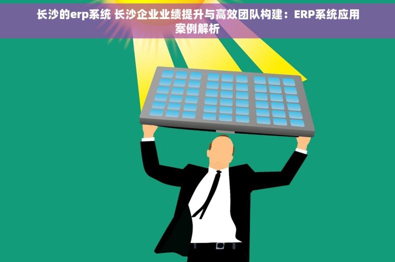 长沙的erp系统 长沙企业业绩提升与高效团队构建：ERP系统应用案例解析