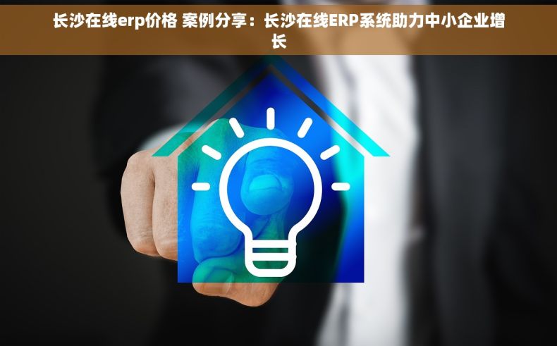 长沙在线erp价格 案例分享：长沙在线ERP系统助力中小企业增长