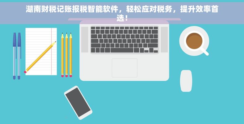 湖南财税记账报税智能软件，轻松应对税务，提升效率首选！