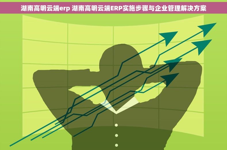 湖南高明云端erp 湖南高明云端ERP实施步骤与企业管理解决方案
