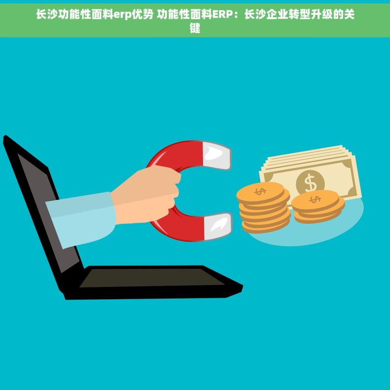 长沙功能性面料erp优势 功能性面料ERP：长沙企业转型升级的关键