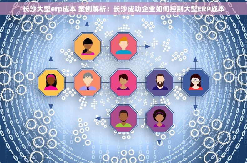 长沙大型erp成本 案例解析：长沙成功企业如何控制大型ERP成本