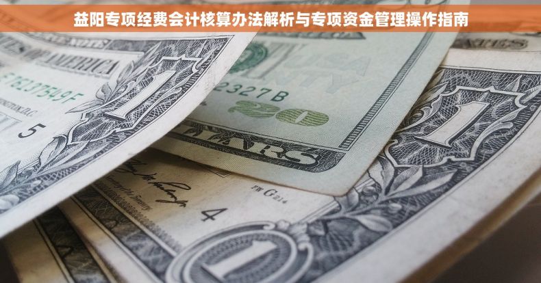 益阳专项经费会计核算办法解析与专项资金管理操作指南