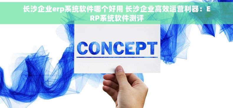 长沙企业erp系统软件哪个好用 长沙企业高效运营利器：ERP系统软件测评