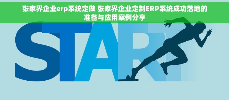 张家界企业erp系统定做 张家界企业定制ERP系统成功落地的准备与应用案例分享