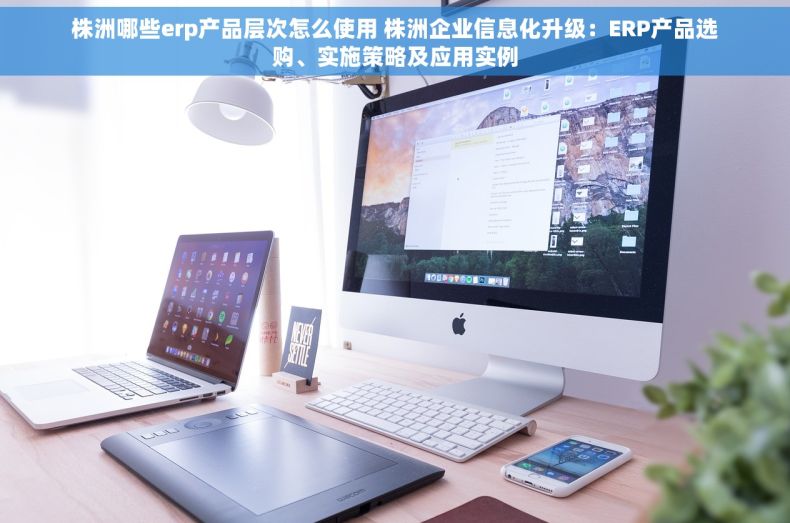 株洲哪些erp产品层次怎么使用 株洲企业信息化升级：ERP产品选购、实施策略及应用实例