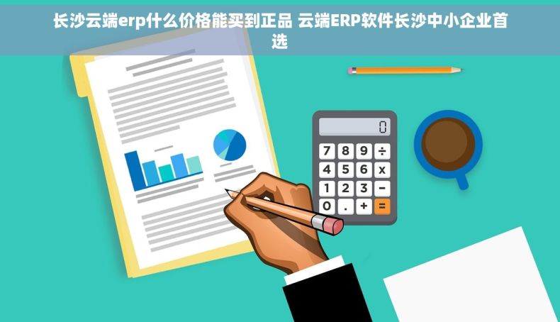 长沙云端erp什么价格能买到正品 云端ERP软件长沙中小企业首选