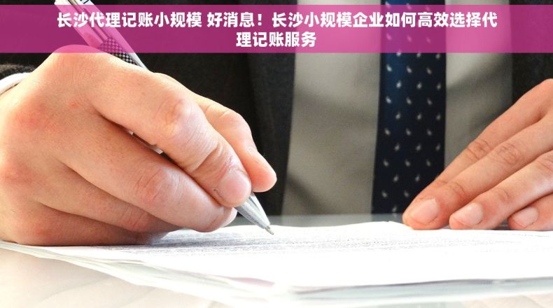 长沙代理记账小规模 好消息！长沙小规模企业如何高效选择代理记账服务