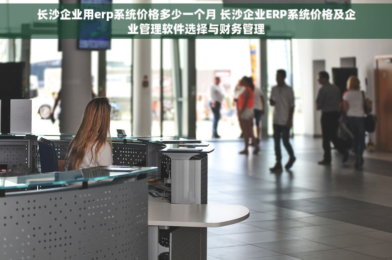 长沙企业用erp系统价格多少一个月 长沙企业ERP系统价格及企业管理软件选择与财务管理