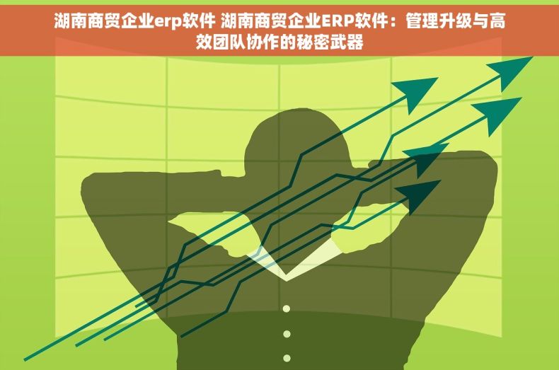 湖南商贸企业erp软件 湖南商贸企业ERP软件：管理升级与高效团队协作的秘密武器