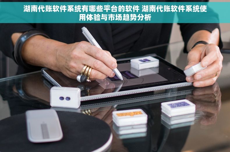 湖南代账软件系统有哪些平台的软件 湖南代账软件系统使用体验与市场趋势分析