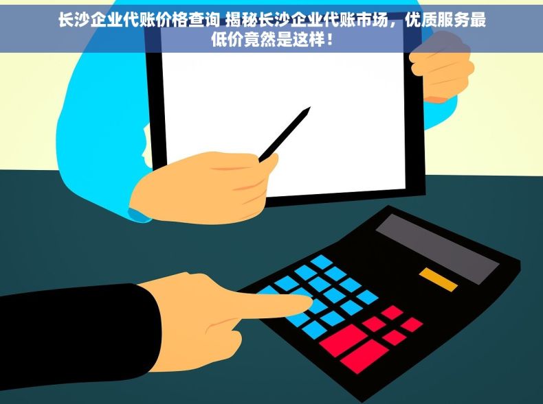 长沙企业代账价格查询 揭秘长沙企业代账市场，优质服务最低价竟然是这样！