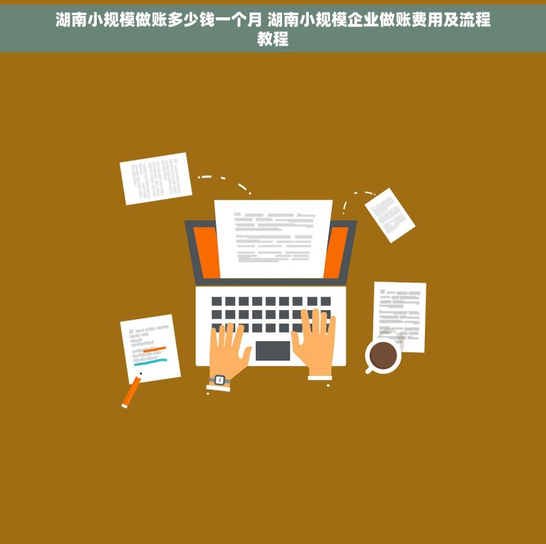 湖南小规模做账多少钱一个月 湖南小规模企业做账费用及流程教程