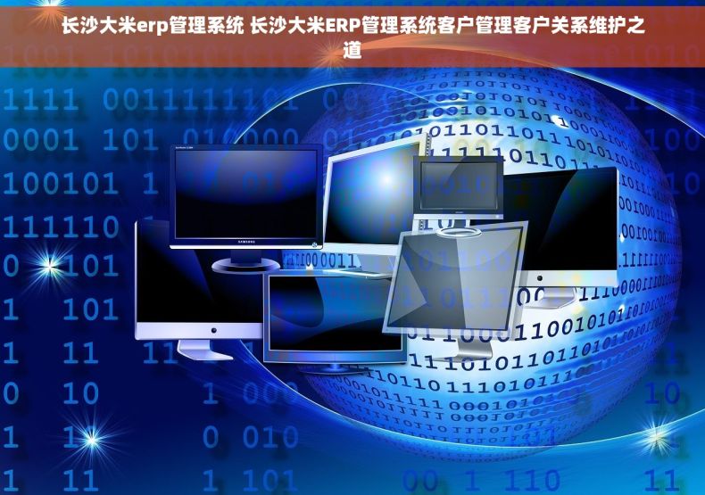 长沙大米erp管理系统 长沙大米ERP管理系统客户管理客户关系维护之道