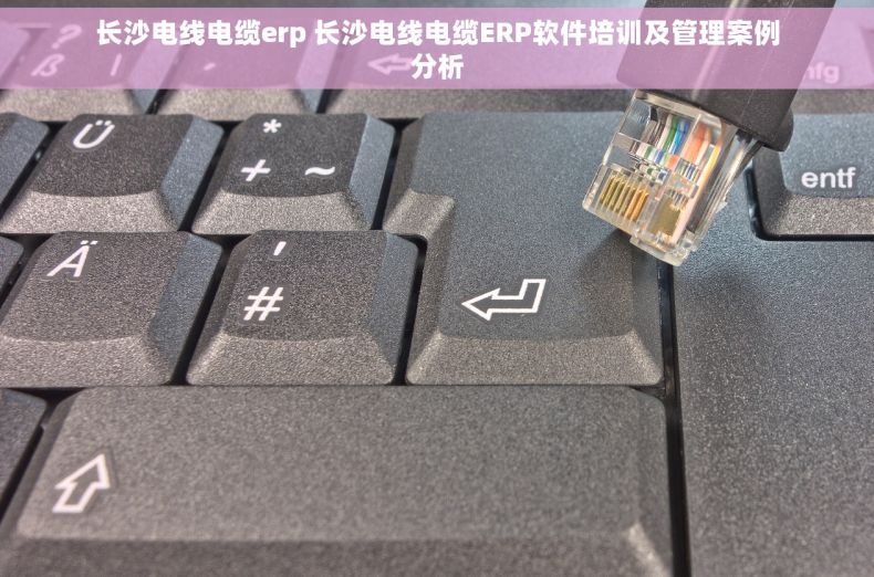 长沙电线电缆erp 长沙电线电缆ERP软件培训及管理案例分析