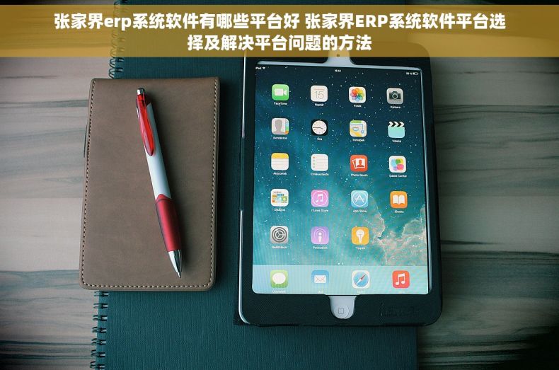 张家界erp系统软件有哪些平台好 张家界ERP系统软件平台选择及解决平台问题的方法