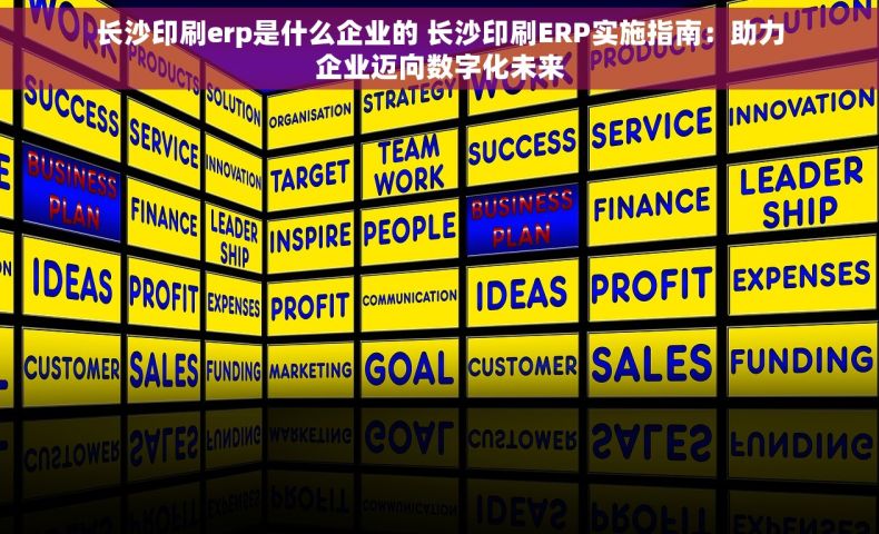 长沙印刷erp是什么企业的 长沙印刷ERP实施指南：助力企业迈向数字化未来