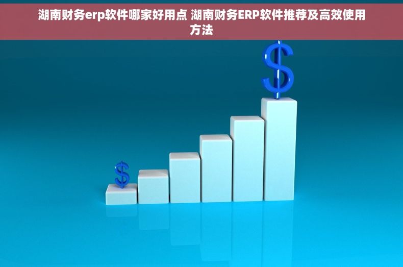 湖南财务erp软件哪家好用点 湖南财务ERP软件推荐及高效使用方法