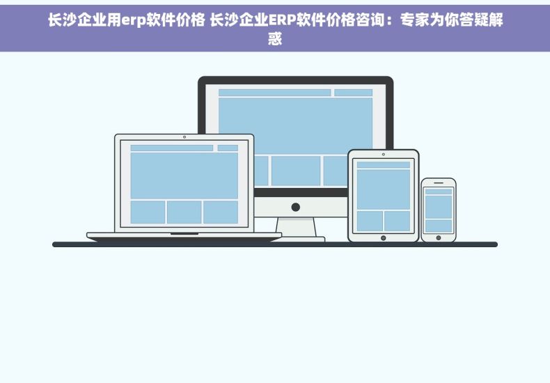 长沙企业用erp软件价格 长沙企业ERP软件价格咨询：专家为你答疑解惑