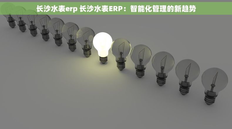 长沙水表erp 长沙水表ERP：智能化管理的新趋势