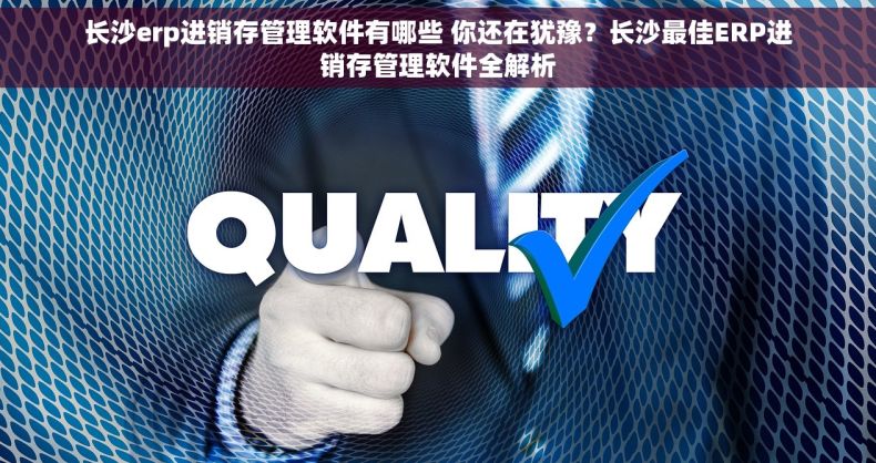 长沙erp进销存管理软件有哪些 你还在犹豫？长沙最佳ERP进销存管理软件全解析