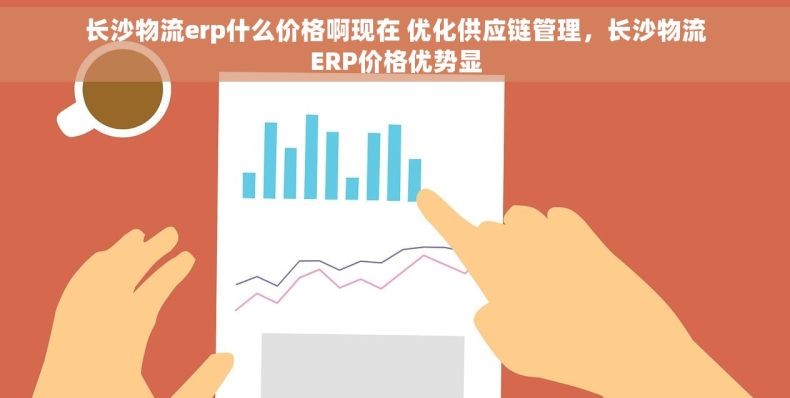 长沙物流erp什么价格啊现在 优化供应链管理，长沙物流ERP价格优势显