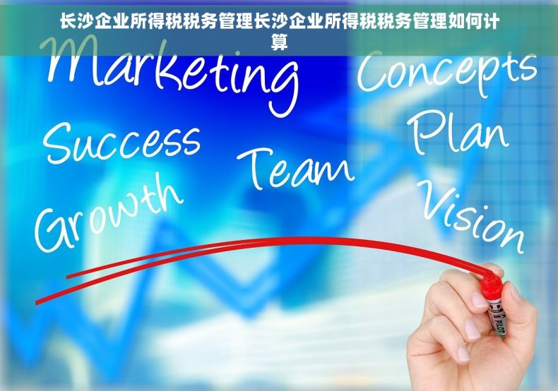 长沙企业所得税税务管理长沙企业所得税税务管理如何计算