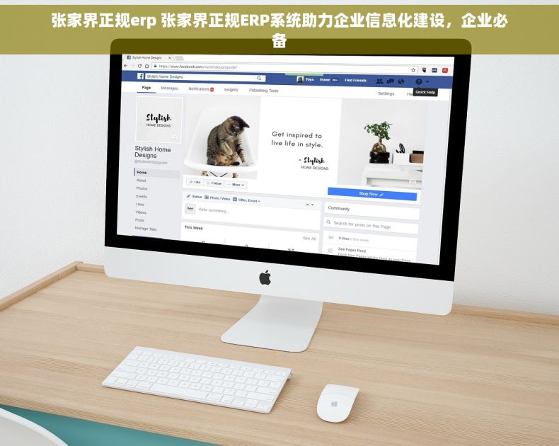 张家界正规erp 张家界正规ERP系统助力企业信息化建设，企业必备