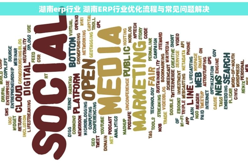 湖南erp行业 湖南ERP行业优化流程与常见问题解决