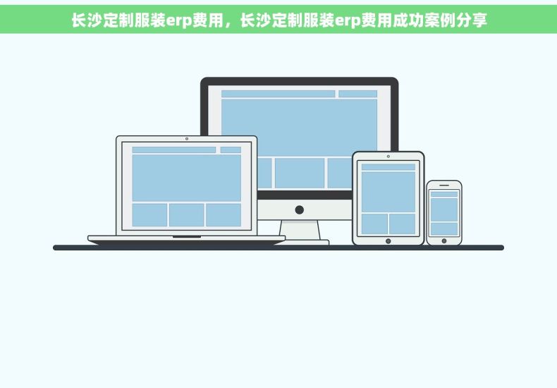 长沙定制服装erp费用，长沙定制服装erp费用成功案例分享