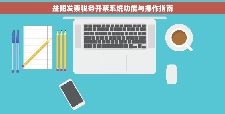 益阳发票税务开票系统功能与操作指南