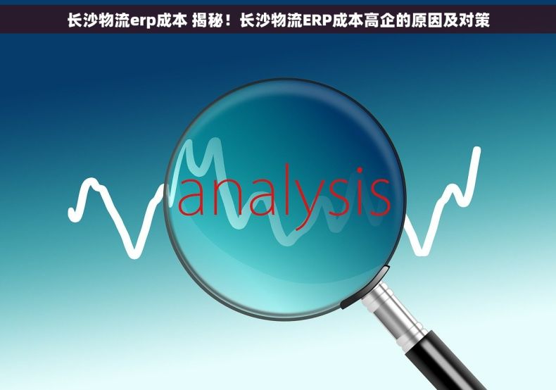 长沙物流erp成本 揭秘！长沙物流ERP成本高企的原因及对策