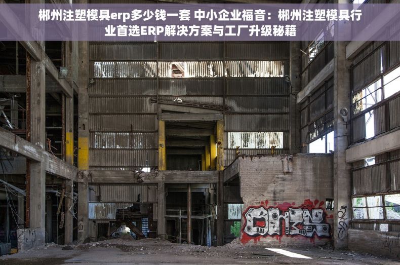 郴州注塑模具erp多少钱一套 中小企业福音：郴州注塑模具行业首选ERP解决方案与工厂升级秘籍