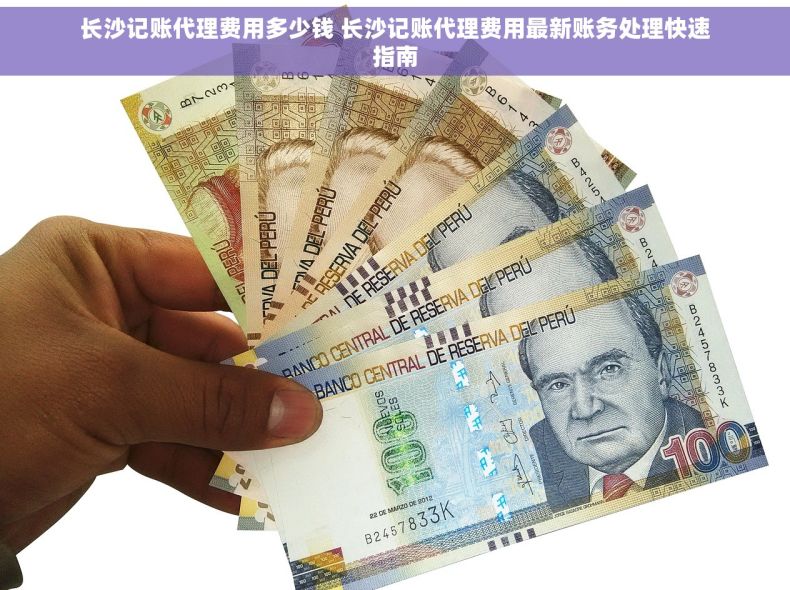 长沙记账代理费用多少钱 长沙记账代理费用最新账务处理快速指南