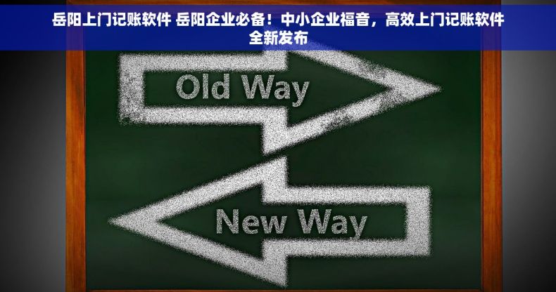 岳阳上门记账软件 岳阳企业必备！中小企业福音，高效上门记账软件全新发布