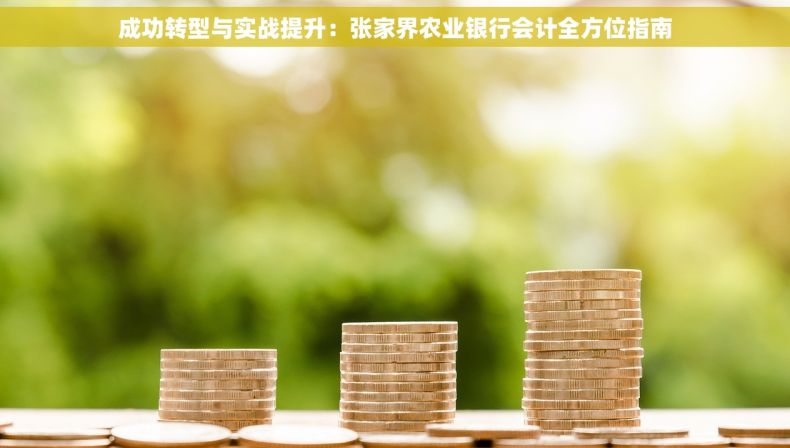 成功转型与实战提升：张家界农业银行会计全方位指南