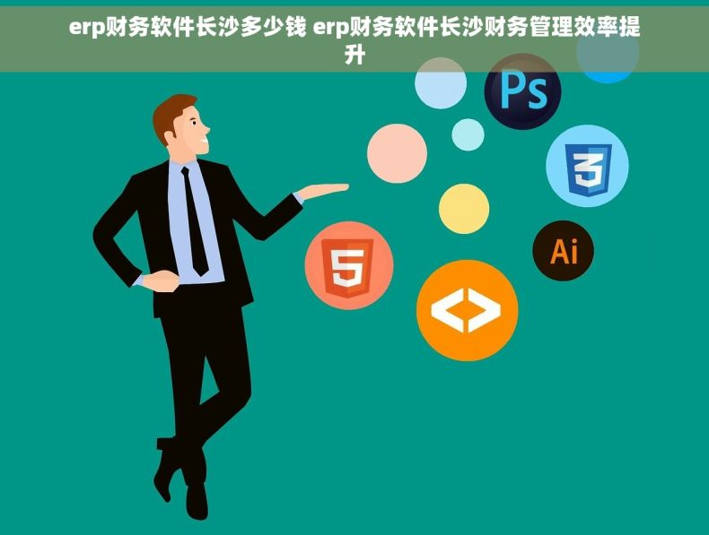 erp财务软件长沙多少钱 erp财务软件长沙财务管理效率提升