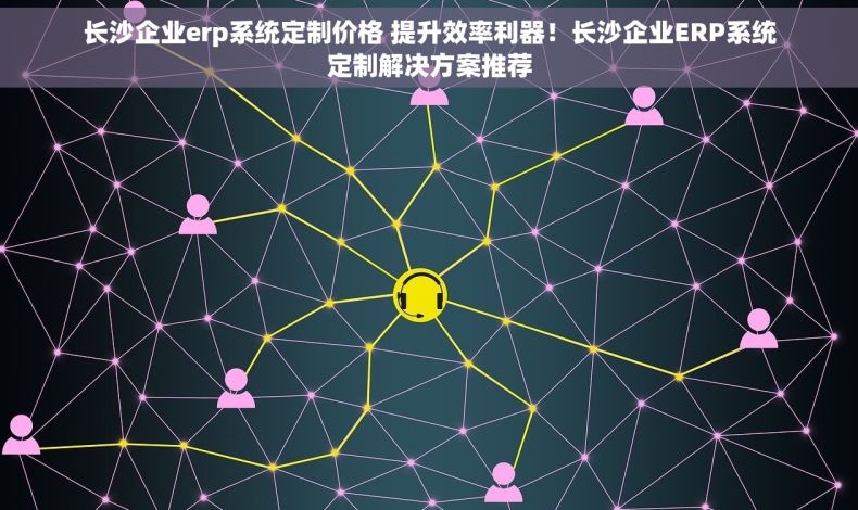 长沙企业erp系统定制价格 提升效率利器！长沙企业ERP系统定制解决方案推荐