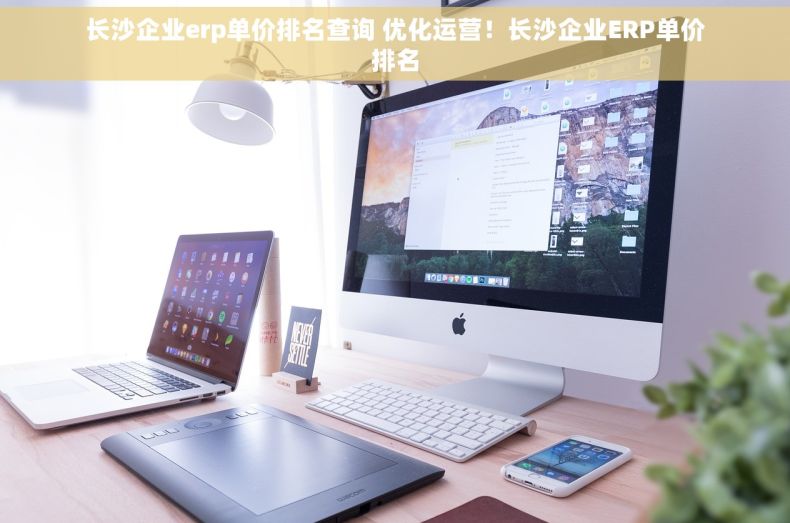 长沙企业erp单价排名查询 优化运营！长沙企业ERP单价排名