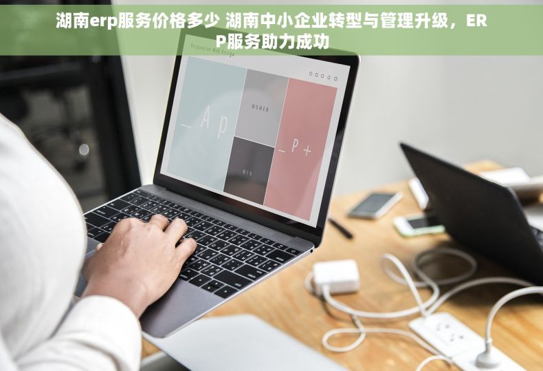 湖南erp服务价格多少 湖南中小企业转型与管理升级，ERP服务助力成功