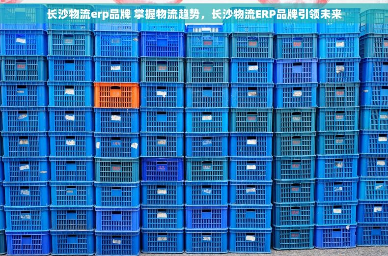 长沙物流erp品牌 掌握物流趋势，长沙物流ERP品牌引领未来