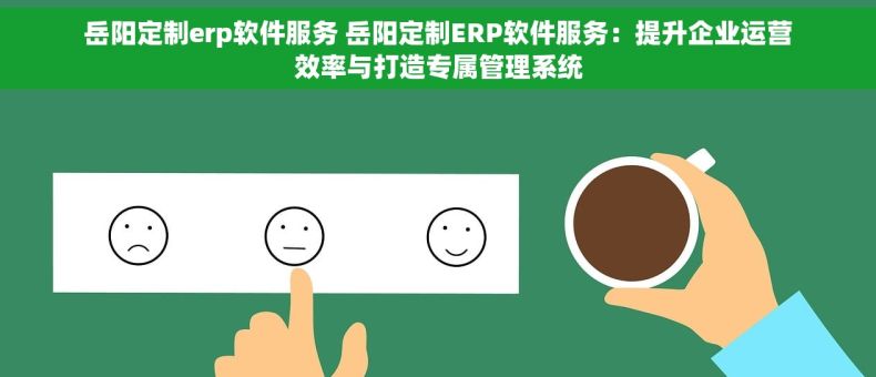 岳阳定制erp软件服务 岳阳定制ERP软件服务：提升企业运营效率与打造专属管理系统
