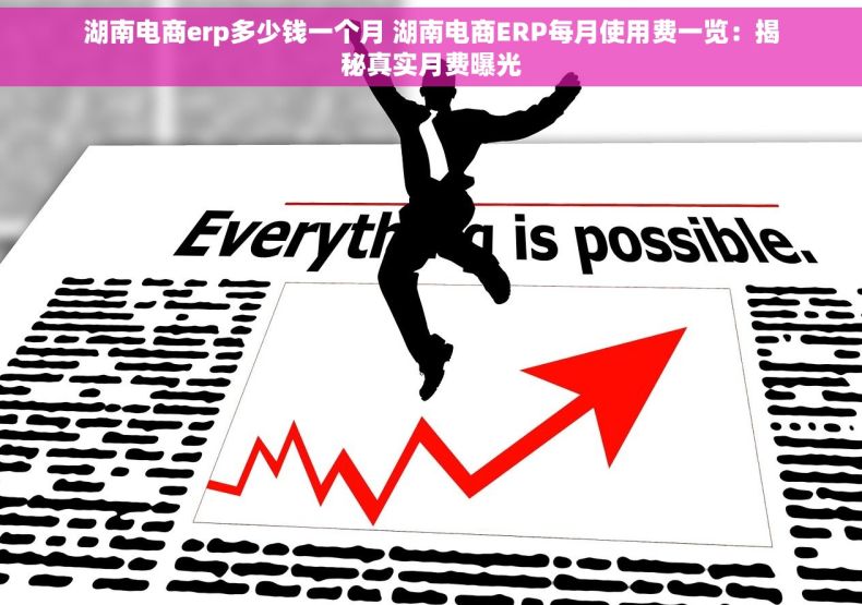 湖南电商erp多少钱一个月 湖南电商ERP每月使用费一览：揭秘真实月费曝光