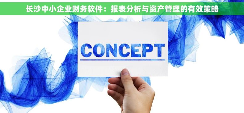 长沙中小企业财务软件：报表分析与资产管理的有效策略