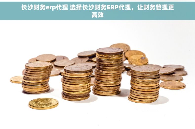 长沙财务erp代理 选择长沙财务ERP代理，让财务管理更高效