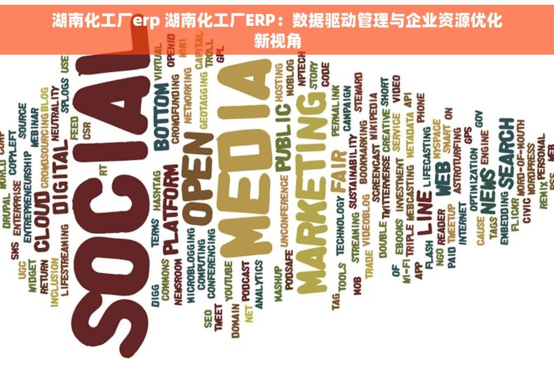 湖南化工厂erp 湖南化工厂ERP：数据驱动管理与企业资源优化新视角