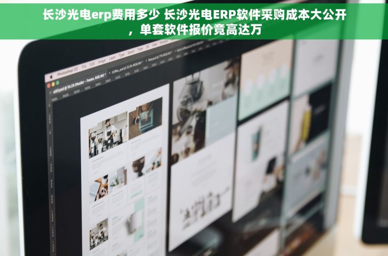 长沙光电erp费用多少 长沙光电ERP软件采购成本大公开，单套软件报价竟高达万